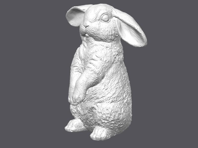 A bunny in an upright pose