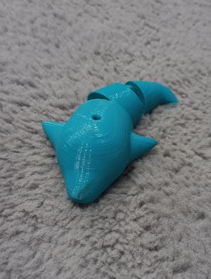 Flexi dolphin