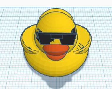 Duck