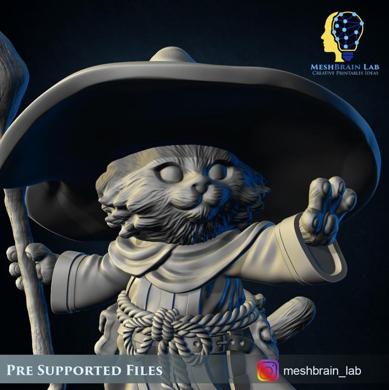 catfolk wizzard with big hat