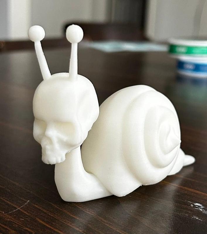 Skull Snail