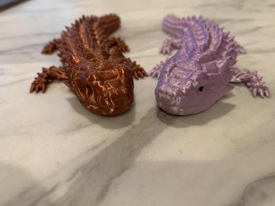 Small tail armadillo lizard