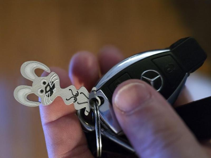 Little bunny - removable shopping coin