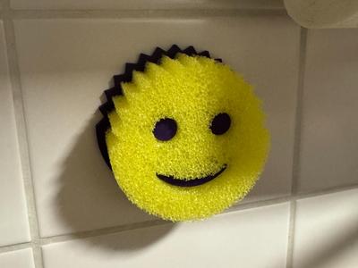 Scrub Daddy Wall mount