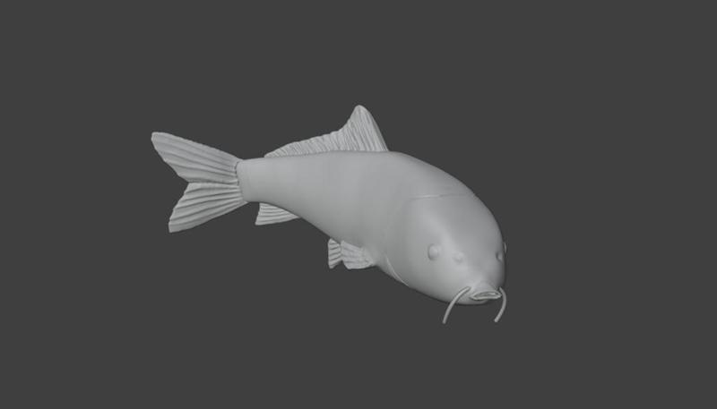 fish Koi or just fish