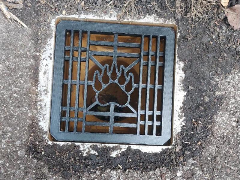 UK 150mm Drain cover - Bear Paw