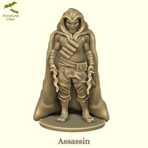 Assassin / Mercenary