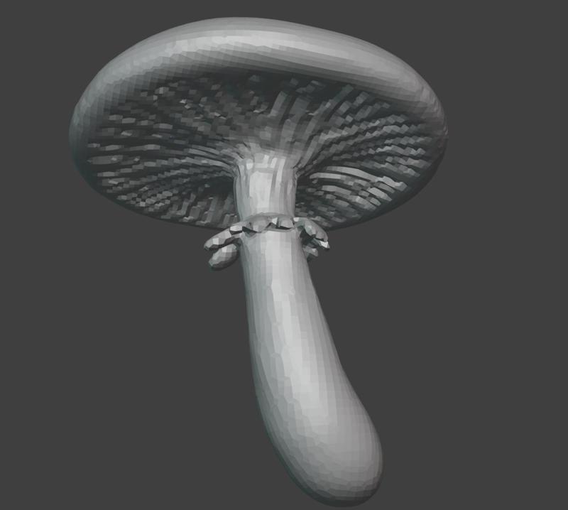 King Straphoria Mushroom