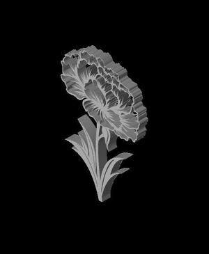 flower pack carnation bundle nature wall art decor floral decorations