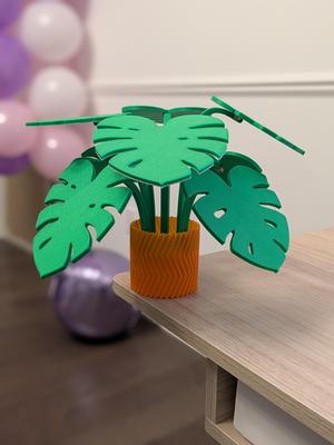 Remixed Planter for Monstera coaster plant