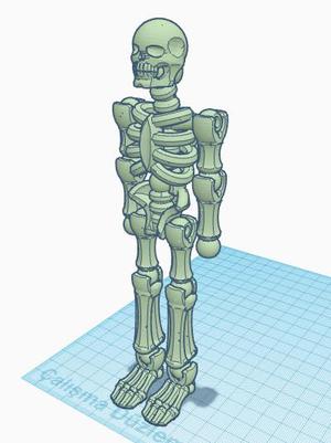 ALL PİECES SKELETON