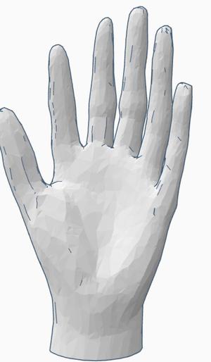 No support 6 finger hand model