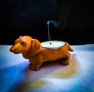 Candle Dog teckel
