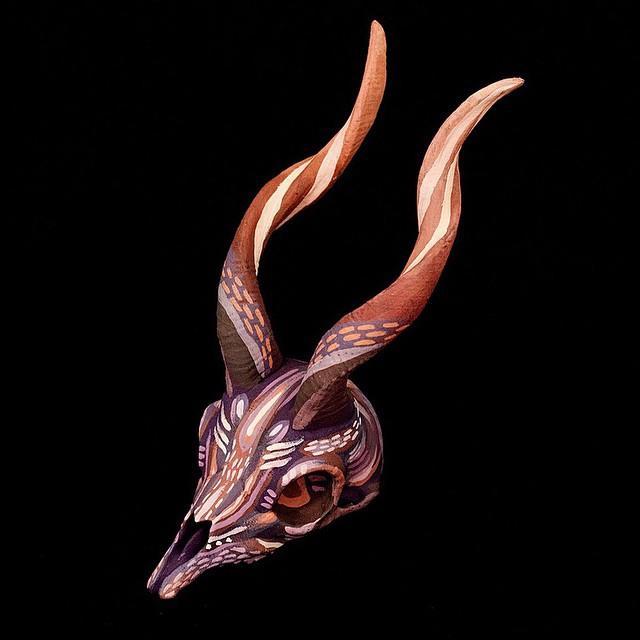Markhor Skull