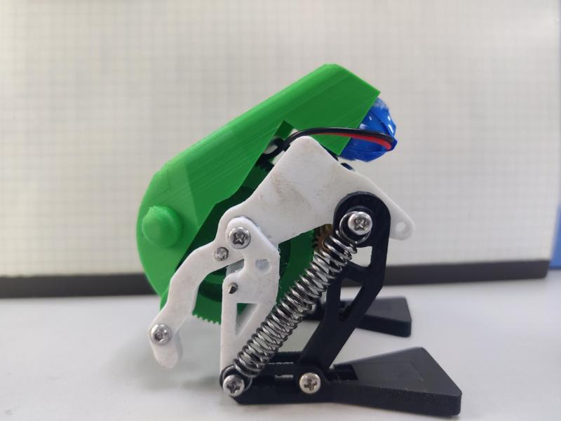 Bionic Frog