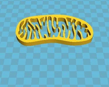 The mitochondrion (plural mitochondria)