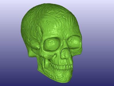 Celtic Skull 3D Scan (Hollow)