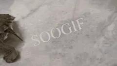 Turtle Skateboard - V2