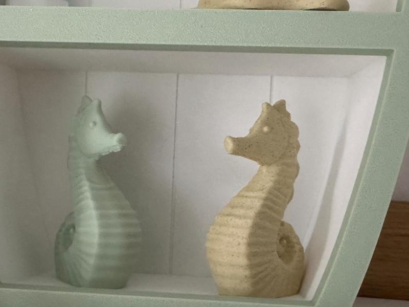 Seahorse Simply Maritime Seahorse