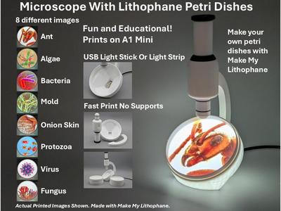 Microscope With Lithophane Petri Dishes