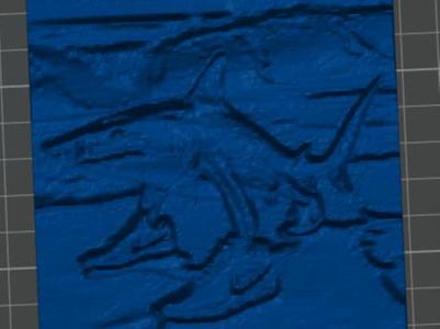 tralalelo tralala shark 