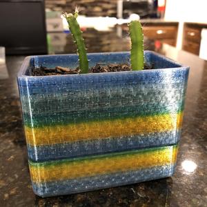 Succulent Planter Pots with Drainage and Bases
