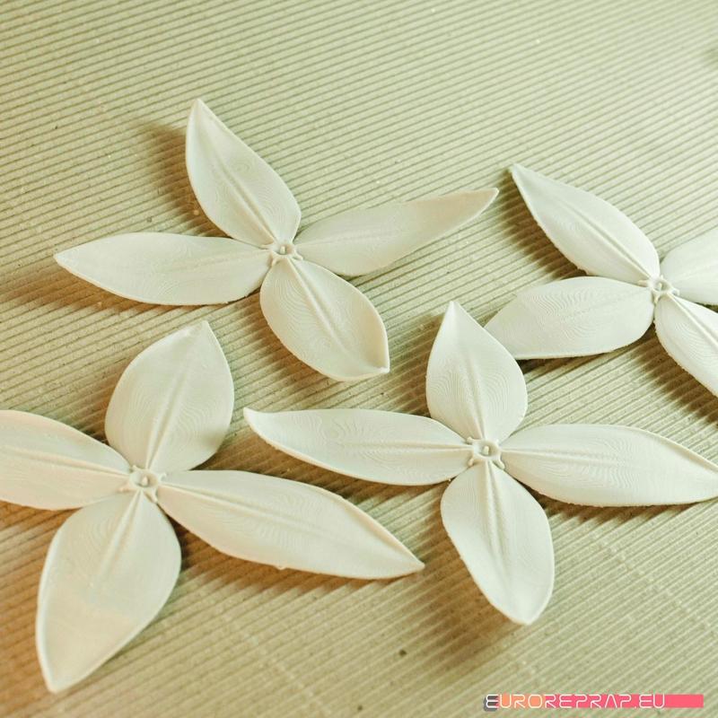 flowers: Ixora - 3D printable model