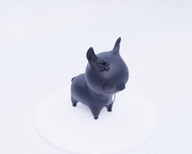 Black Alpaca - Elegant South American Mammal