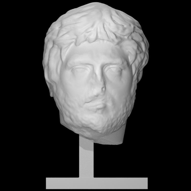 Unknown bust