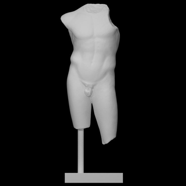 Torso