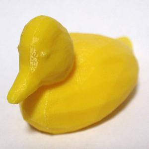 duck