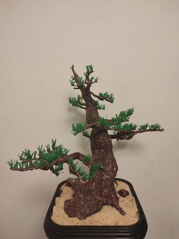 Tiesto For Bonsai