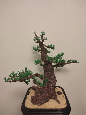 Tiesto For Bonsai
