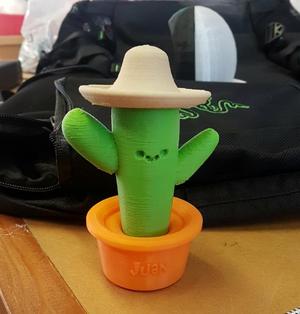 Juan the Cactus!