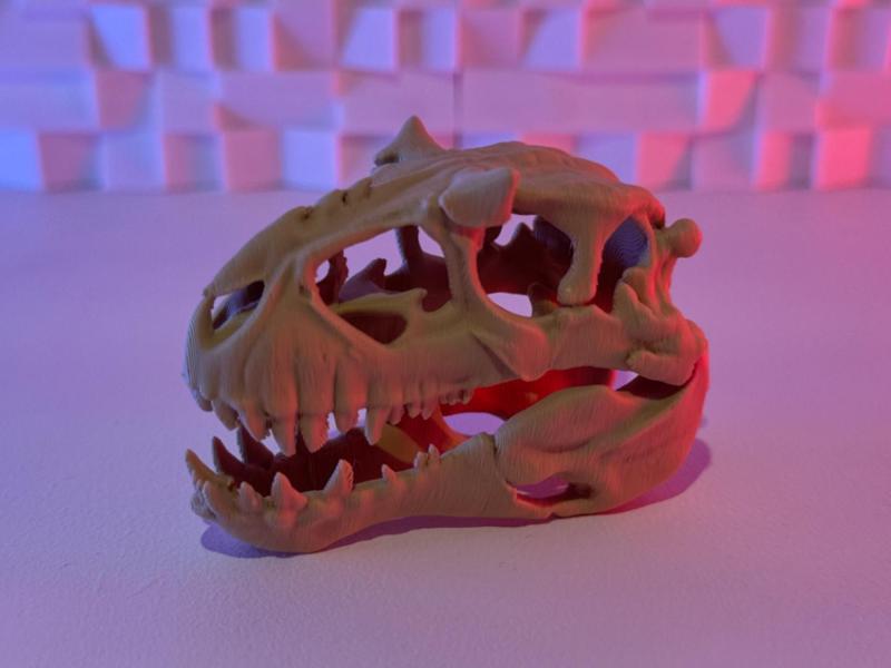 Indominus Rex Skull (5-25 Grams)