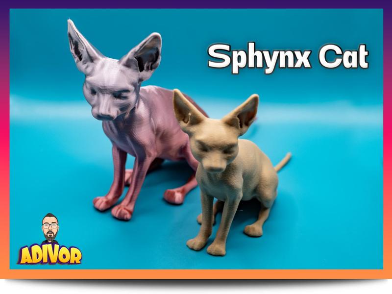 Sphynx Cat