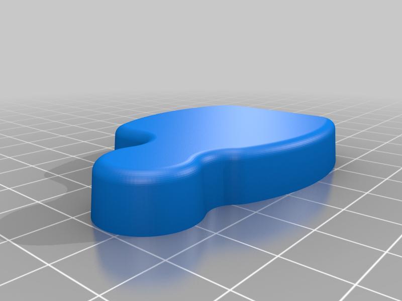 Victure AC900 lens cap