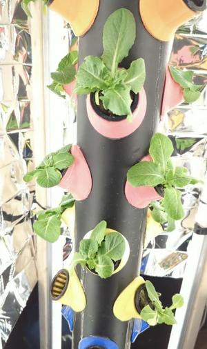 4" Hydroponic Adapters