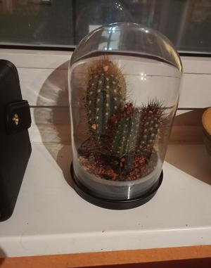 Pots for Ikea Begavning and Skönja (small Versions)