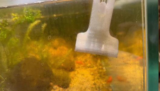 Algae Scraper with Siphon