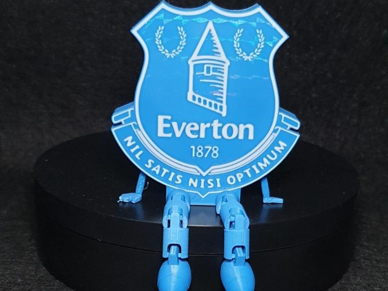 Everton FC shield with flexi legs