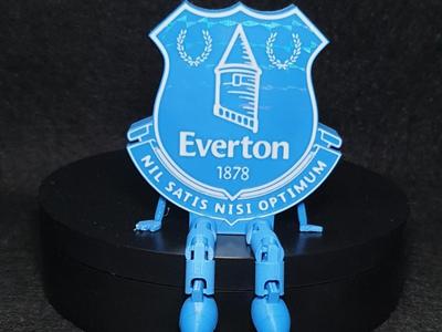 Everton FC shield with flexi legs