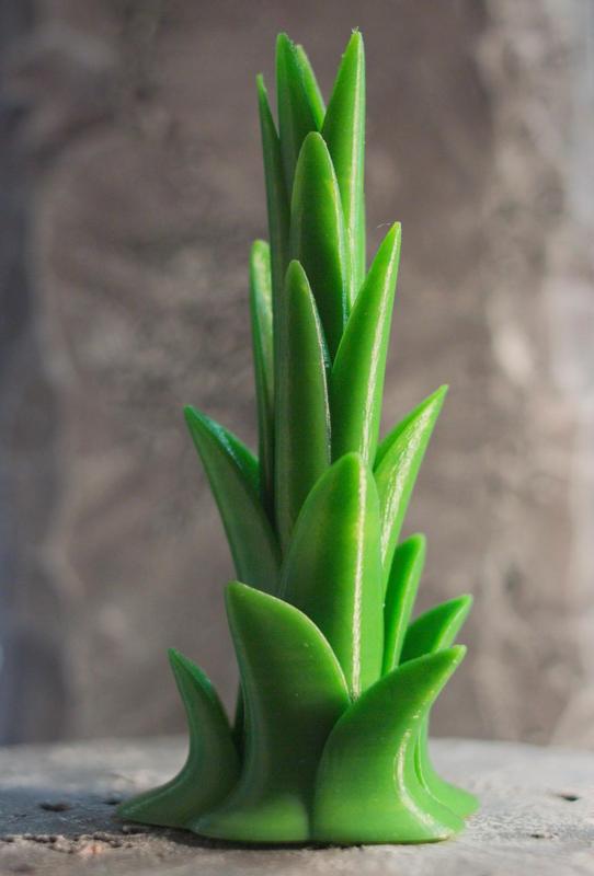 Tabletop plant: Tree Agave