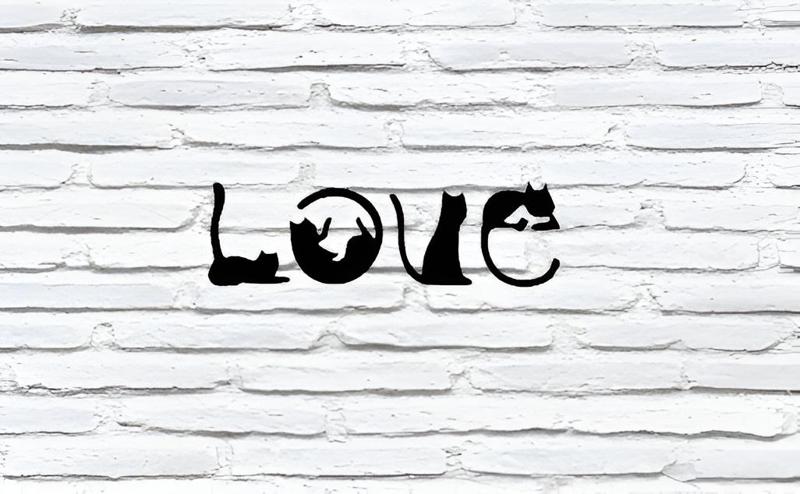 Cats love