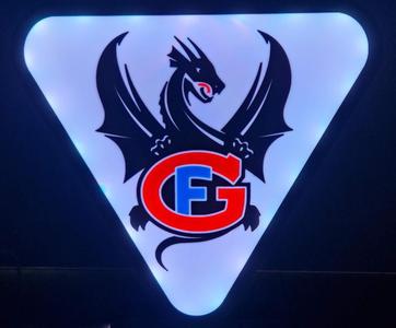 Fribourg-Gottéron Lamp