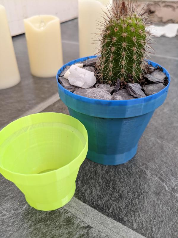 generic cactus plant pot