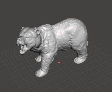 Grizzly Bear