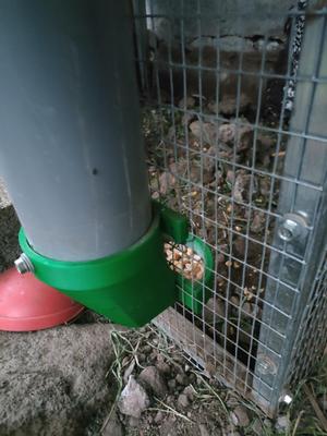 Feeder adapter for PVC 100