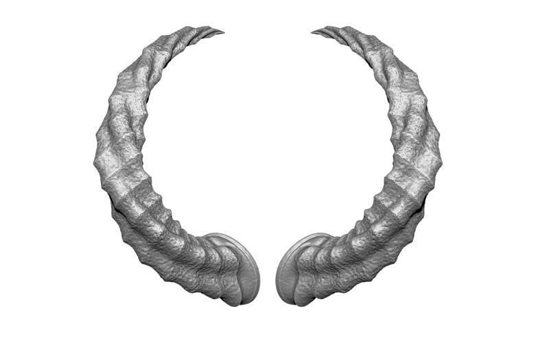 HORN 11 high poly sculpt 3D model