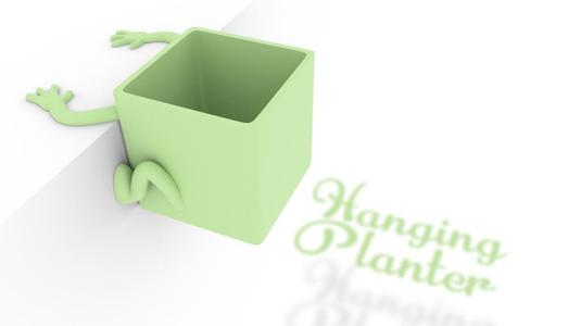 Hanging Planter
